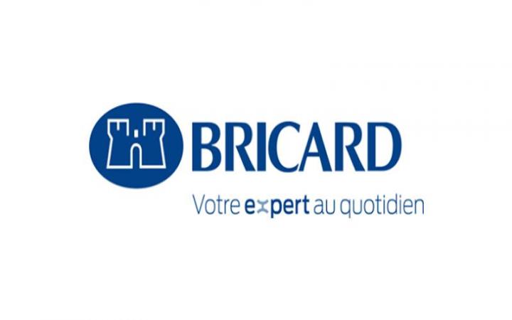 Logo BRICARD